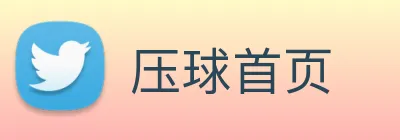 压球首页 logo